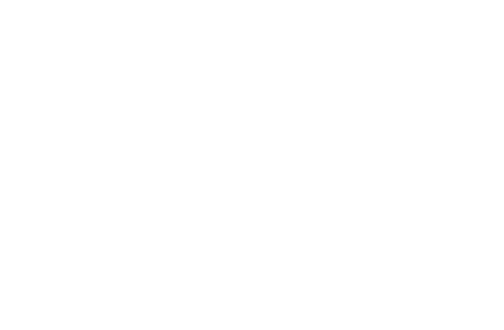 熟練掌握各類西點西餐高端制品的操作工藝
